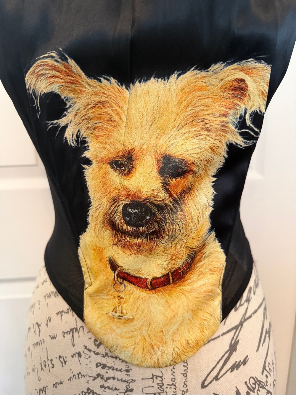 Vivienne Westwood x Palace Puppy Corset 42 - Picture 2 of 13